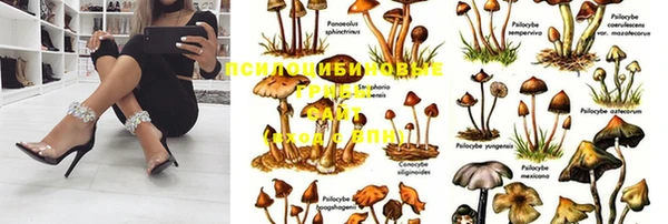 марки lsd Баксан